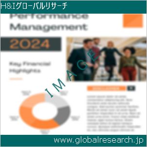 グローバルリサーチ調査レポートのイメージ